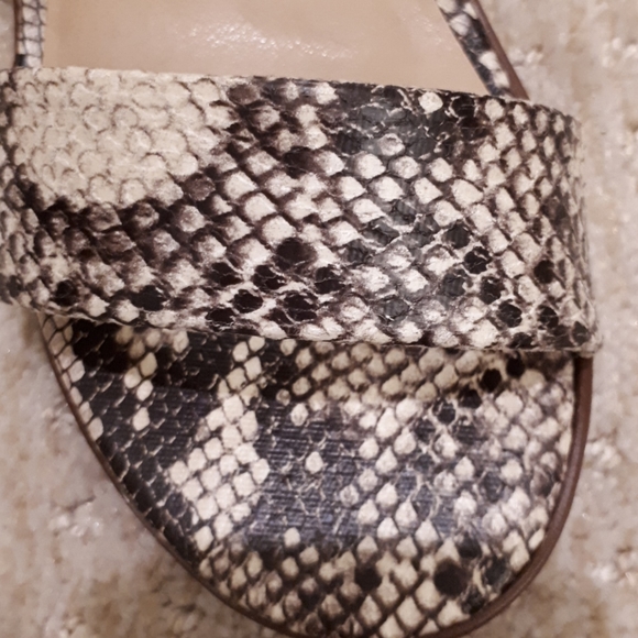 Rock & Candy leopard print Sandals - Picture 7 of 7